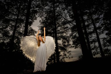 Saf beyaz giyinmiş, narin melek kanatlarıyla süslenmiş çekici genç bir sarışın zarif bir duruş sergiliyor. Onun dingin ifadesi ve akışkan elbisesi ruhani bir varlığı çağrıştırıyor, somutlaştıran melek güzelliğini..