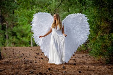 Saf beyaz giyinmiş, narin melek kanatlarıyla süslenmiş çekici genç bir sarışın zarif bir duruş sergiliyor. Onun dingin ifadesi ve akışkan elbisesi ruhani bir varlığı çağrıştırıyor, somutlaştıran melek güzelliğini..