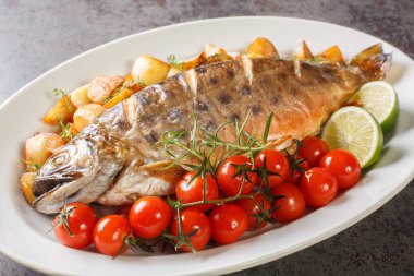 Pişmiş balık, sebzeli ve otlu Kuzey Kutbu Char masanın üzerindeki beyaz tabağa yakın. Yatay