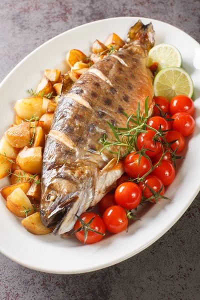 stock image Baked whole fish arctic char served with fried potatoes, cherry tomatoes and lime close-up on a dish on the table. Vertica