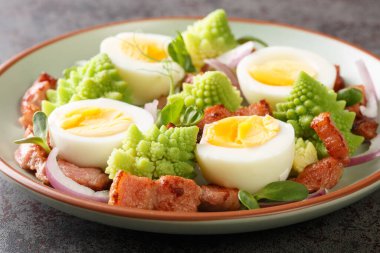 Ev yapımı Romen usulü lahana salatası, haşlanmış yumurta, kızarmış domuz pastırması ve masada yakın plan taze mikroyeşillikler. Yatay