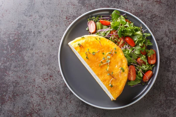 Healthy Diet Omelet Poulard Omelette Closeup Plate Dark Background Horizontal — Stock Photo, Image