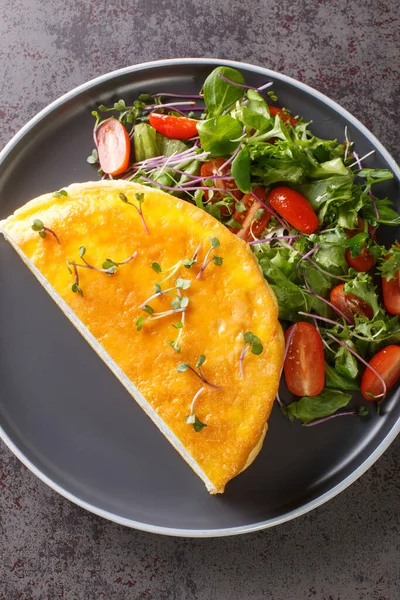 Lunch Dinner Egg Dishes Famous Poulard Omelette Vegetables Salad Closeup — Stock Photo, Image