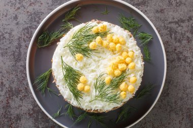 Sofrada soslu, soğanlı, patatesli, havuçlu, peynirli, yumurtalı ve mayonezli lezzetli salata. Yukarıdan yatay üst görünüm