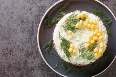 Tabağın üzerinde soslu salata mimozası, patates, peynir, havuç ve yumurta var. Yukarıdan yatay üst görünüm