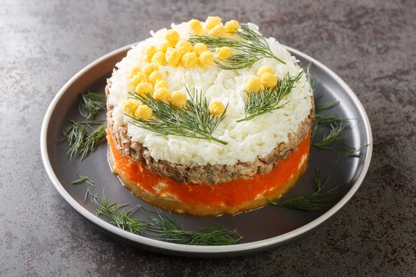 Classic Mimosa Salad Potatoes Canned Fish Carrots Eggs Cheese Seasoned — Stock Photo, Image