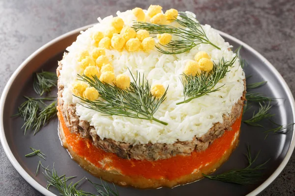 Geschichtete Salat Mimosen Mit Dosensoße Kartoffeln Käse Möhren Und Eiern — Stockfoto