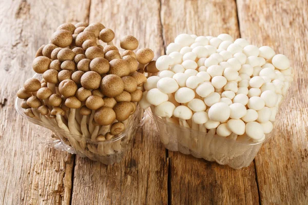White Brown Beech Mushrooms Shimeji Hypsizygus Tessulatus Plastic Container Closeup — Stock Photo, Image