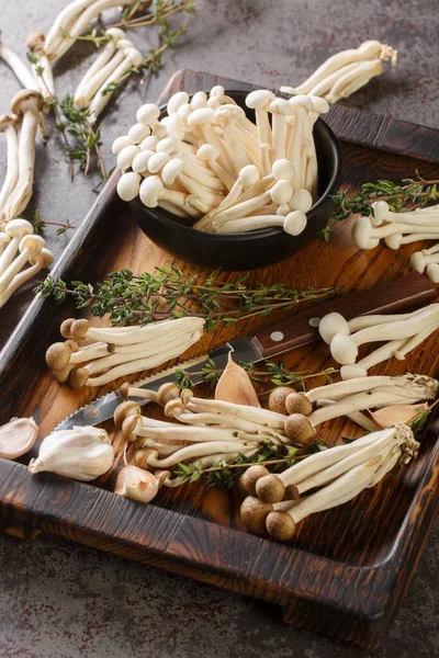 白色和棕色可食山毛榉蘑菇或Shimeji与烹调配料特写在桌上的木板上 Vertica — 图库照片
