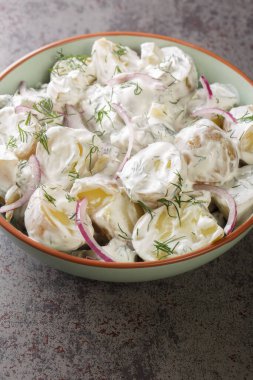 İsveç patates salatası turşulu, dereotlu ve kırmızı soğanlı. Ekşi kremalı, yakın plan bir tabakta. Dikey