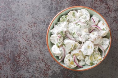 Farskpotatissalata, İsveç Patates Salatası 'dır. Yeni patatesler, taze krema, kırmızı soğan ve taze doğranmış dereotu ile yapılır. Yukarıdan yatay üst görünüm