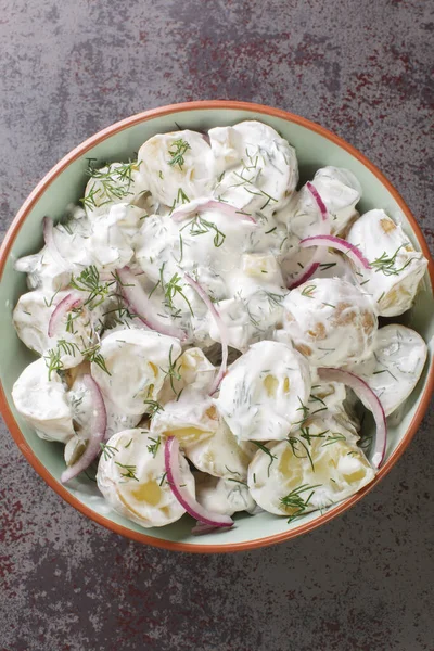 İsveç patates salatası turşulu, dereotlu ve kırmızı soğanlı. Ekşi kremalı, yakın plan bir tabakta. Yukarıdan dikey üst görünüm