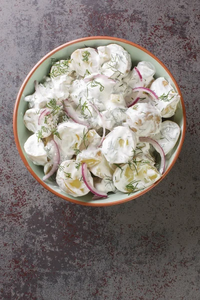 Farskpotatissallad Ist Ein Traditioneller Schwedischer Salat Mit Einer Kombination Aus — Stockfoto