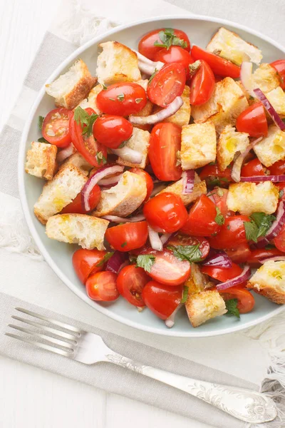 Delicious Summer Salad Cherry Tomatoes Stale Bread Onion Olive Oil — Stock Photo, Image