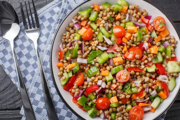 Salade Lentilles Fraîches Avec Légumes Été Gros Plan Dans Une — Photo