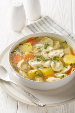 Rus Pelmeni çorbası havuç, soğan, patates ve tavuk çorbasını ahşap bir masada yakın plan tabakta. Dikey