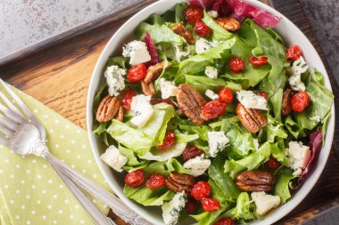Kurutulmuş kirazlı Amerikan Michigan salatası, mavi peynir ve masaya yakın soslu vinaigrette soslu fındık. Yukarıdan yatay üst görünüm