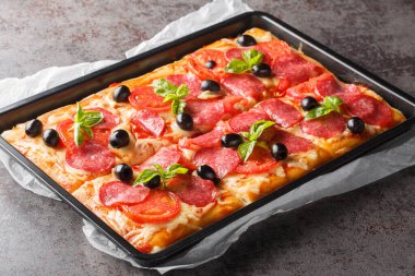 İtalyan fast food, mozzarella sosisli, zeytinli ve domatesli dikdörtgen pizza. yatay