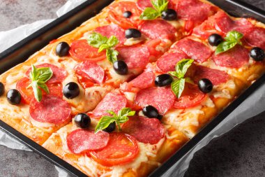 Peynirli, salamlı, zeytinli ve domatesli taze pişmiş dikdörtgen pizza. yatay