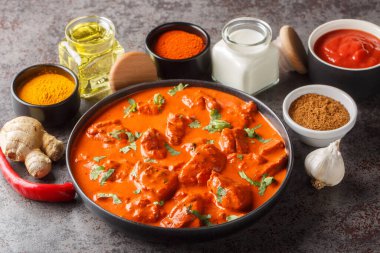 Geleneksel Hint yemeği tavuk tikka masala ile kremalı soslu baharatlı köri koyu beton arka plan yakın plan. Yatay