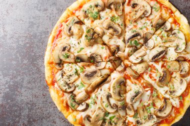 Pizza ai funghi ya da domates soslu pizza, mozzarella, otlar ve yakın plan sarımsak masanın üzerinde. Yukarıdan yatay üst görünüm