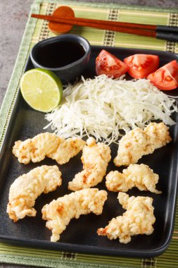 Tavuklu Tempura, karashi hardal ponzu sosu ve lahana salatası tabağın üzerine yakın plan. Dikey