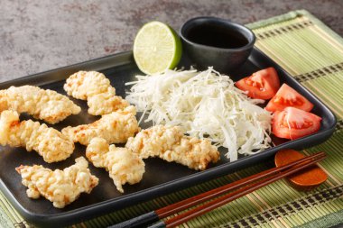 Toriten ya da tavuk tempura soslu kızarmış Japon tavuğu ve masanın üzerindeki tabakta lahana salatası. Yatay