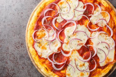 Pizza pugliese, domates sosu, peynir ve bir sürü soğanla kaplı ince bir pizzadır. Yukarıdan yatay üst görünüm