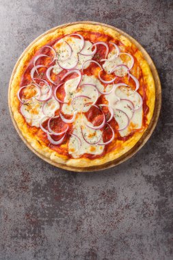 Pizza pugliese, İtalyan mutfağında domates, soğan ve mozzarella ile hazırlanmış bir pizza türüdür. Yukarıdan dikey üst görünüm