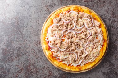Domates soslu balık pizzası, konserve ton balığı, mozzarella peyniri ve masanın üzerindeki ahşap tahtada yakın plan kırmızı soğan. Yukarıdan yatay üst görünüm