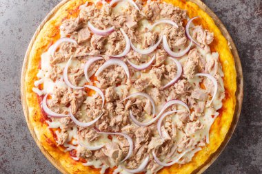 Konserve ton balıklı pizza ve kırmızı soğanlı cipolla. Masanın üzerindeki tahtanın üstünde. Yukarıdan yatay üst görünüm