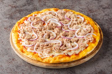 Domates soslu balık pizzası, konserve ton balığı, mozzarella peyniri ve masanın üzerindeki ahşap tahtada yakın plan kırmızı soğan. Yatay