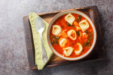 Masanın üzerinde domates, ıspanak, soğan, havuç ve parmesan peynirli leziz tortellini çorbası var. Yukarıdan yatay üst görünüm