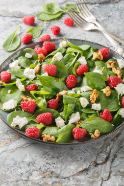 Ahudududulu ıspanak salatası, beyaz peynir ve ceviz tabakta yakın plan. Dikey