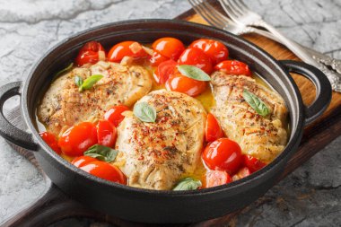 İtalyan tavuk filetosu soğan, sarımsak ve domatesle pişirilmiş. Yatay