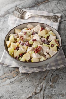 Sonbahar tavuk salatası, kereviz, elma, ceviz ve kızılcık tabağı masanın üstünde. Dikey