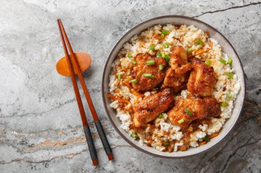 Tavuklu pilav. Okayama bölgesinden yerel bir yemek. Masadaki kaseye yakın. Yukarıdan yatay üst görünüm