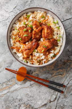 Tavuklu pilav ve Burdock Tori Meshi masadaki kaseye yakın çekim. Yukarıdan dikey üst görünüm
