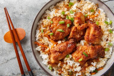 Japon Tori Meshi tavuğu. Baharatlı tatlı soslu pilav. Tabakta yakın plan. Yukarıdan yatay üst görünüm