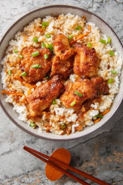 Torimeshi ya da Tavuklu pilav. Okayama usulü yakın plan. Masanın üzerinde. Yukarıdan dikey üst görünüm