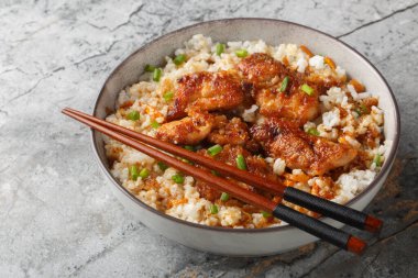 Japon Tori Meshi tavuğu. Baharatlı tatlı soslu pilav. Tabakta yakın plan. Yatay