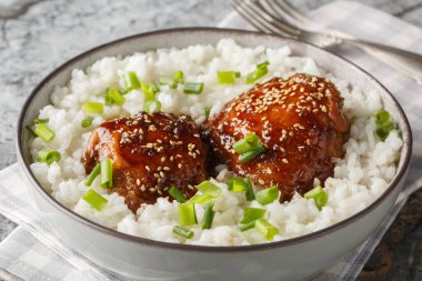 Japon yapımı fırında pişirilmiş tavuk budu, Shoyu tabanlı bir sosta kaynatılmış ve tabağın üzerinde beyaz pirinç kaplaması var. Yatay