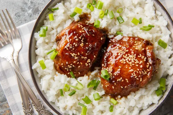 Japon yapımı fırında pişirilmiş tavuk budu, Shoyu tabanlı bir sosta kaynatılmış ve tabağın üzerinde beyaz pirinç kaplaması var. Yukarıdan yatay üst görünüm