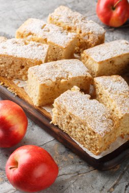 Applesauce cake with ginger sprinkled with powdered sugar close-up on a wooden board on the table. Vertica