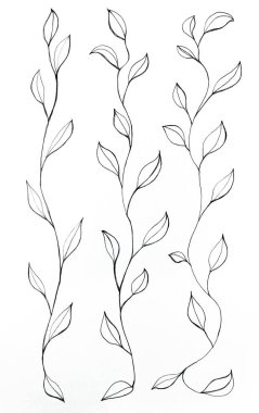 Beyaz çarşaf üzerine siyah mürekkeple el yapımı grafiksel çizimler. Yapraklı üç sıra tırmanma bitkisini betimliyor.