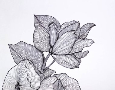 Beyaz çarşaf üzerine el yapımı siyah mürekkep. Çiçek ve yaprak bileşimini temsil ediyor. 