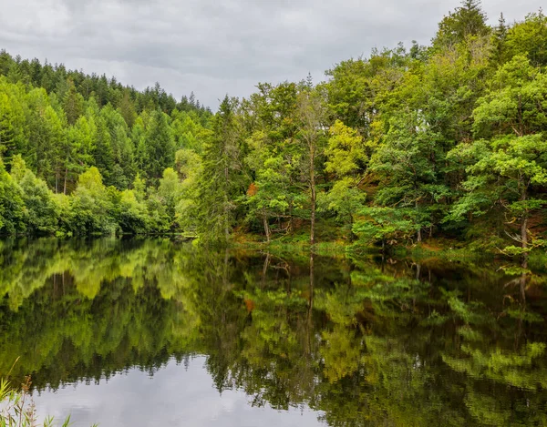 Водохранилище Морване Франции Зелеными Деревьями Хвойные Деревья Отражением Воде — стоковое фото