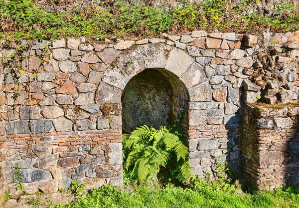 Piękna Zielona Paproć Starym Kamiennym Murze Wykopalisk Archeologicznych Francji — Zdjęcie stockowe