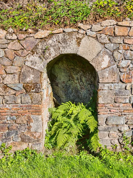 Krásná Zelená Kapradina Staré Kamenné Zdi Archeologické Vykopávky Francii — Stock fotografie