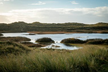 Teksaslı adanın kum tepelerinde bir tatlı su gölü ön planda marram otları ve arka planda kum tepeleri ve gökyüzü.